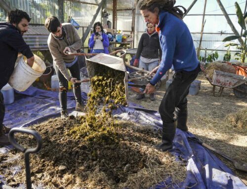 El ABC de la Agricultura Orgánica