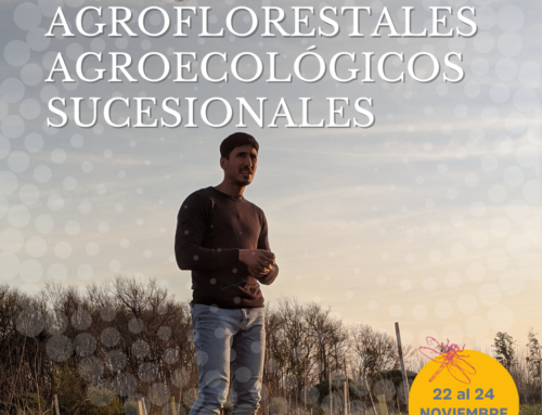 Formación en Sistemas Agroforestales Agroecológicos Sucesionales – Presencial