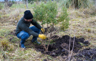 Formación en Sistemas Agroforestales Agroecológicos Sucesionales – Presencial