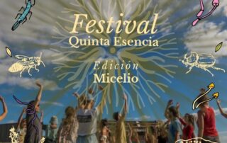 Festival Quinta Esencia Edición Micelio