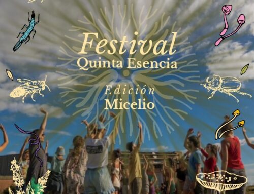 Festival Quinta Esencia Edición Micelio