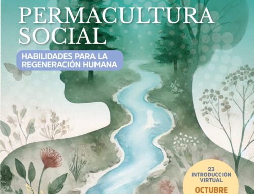 PERMACULTURA SOCIAL – Habilidades para la Regeneración Humana