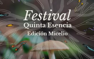 Festival Quinta Esencia Edición Micelio