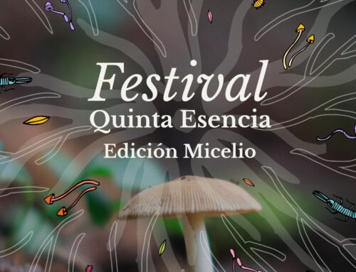 Festival Quinta Esencia Edición Micelio