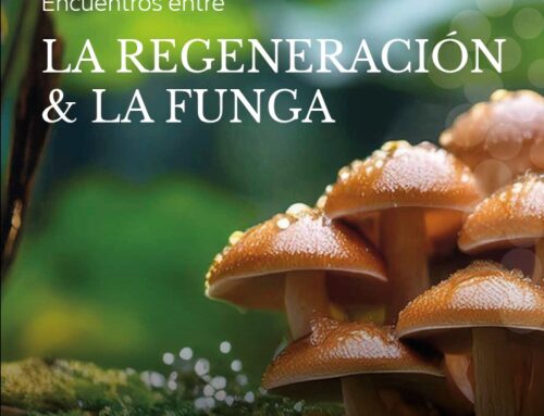 Ciclo online “Encuentro entre la Regeneración & La Funga”