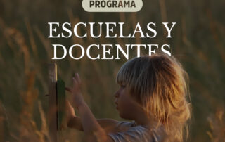 Programa Escuelas y Docentes